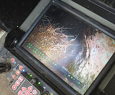 Image of Root intrusion Home Inspection Authority Southern California Residential & Commerical Inspections