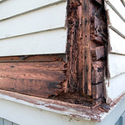 Example of Structural Termite damage Home Inspection Authority Southern California Residential & Commerical Inspections