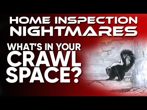 Home Inspection Nightmares, What’s In Your Crawlspace?